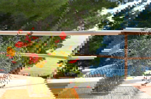 Foto 1 - Dino - Gorgeous Garden - SA2 Jelsa
