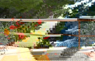 Foto 1 - Dino - Gorgeous Garden - SA2 Jelsa