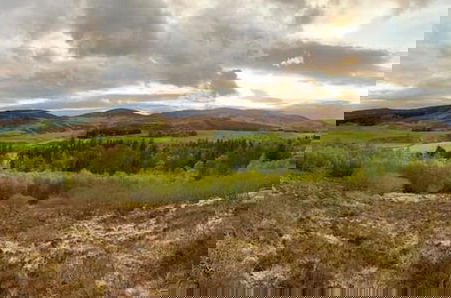 Photo 3 - Tranquil Glenshee Cottage Retreat
