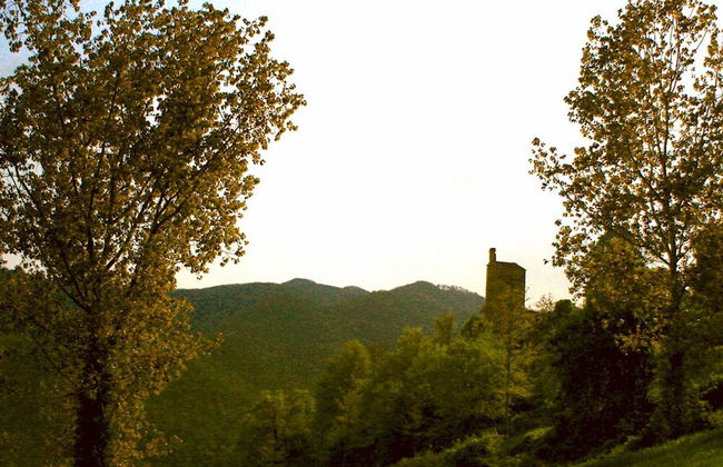 Casa del Mandorlo 8 Emma Villas - Foto 28