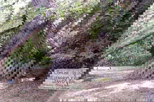 Foto 11 - Villa Bonaccorso - La Dimora Immersa Nella Natura ai Piedi Dell Etna