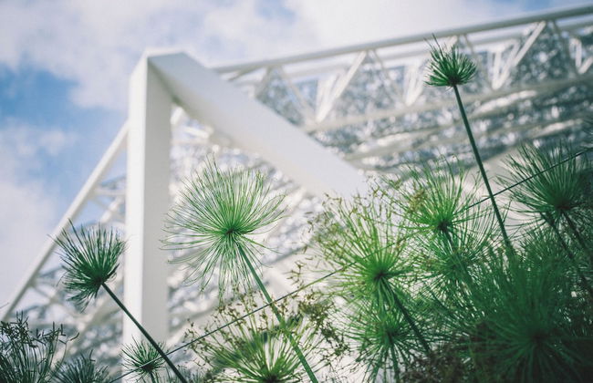 J Youai House - Photo 33