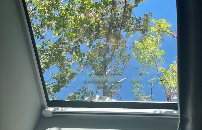 J Youai House - Photo 8