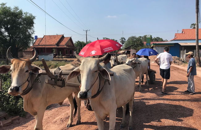 Siem reap Homesteading II - Foto 45