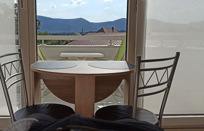 Studio 1 - Location de Vacances Obernai - Photo 4