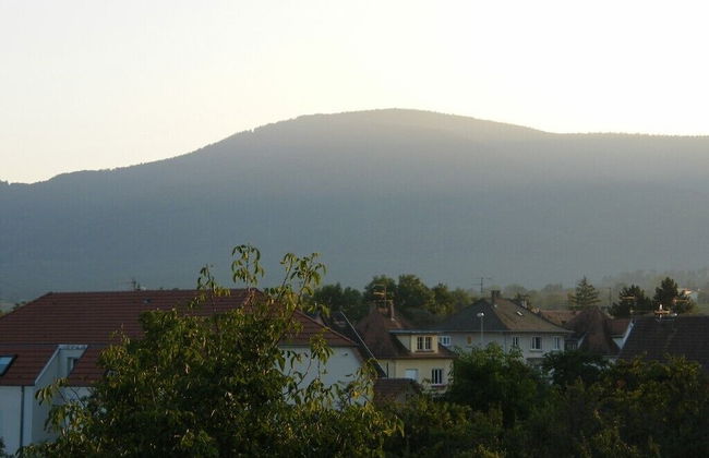 Studio 1 - Location de Vacances Obernai - Photo 15