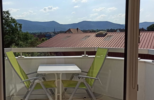 Studio 1 - Location de Vacances Obernai - Photo 13