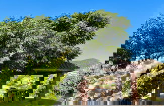 Photo 25 - Cabañas Colibri