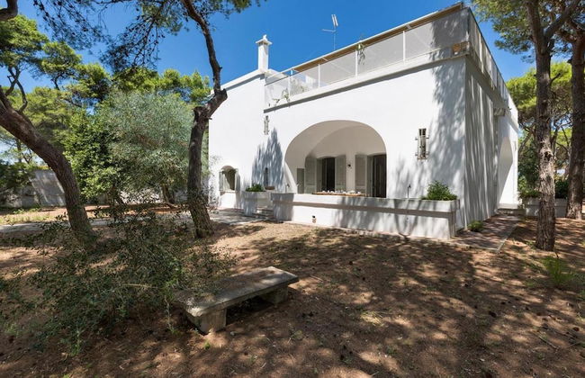 1675 Masseria Villa in Torre Specchia Ruggeri - Foto 59