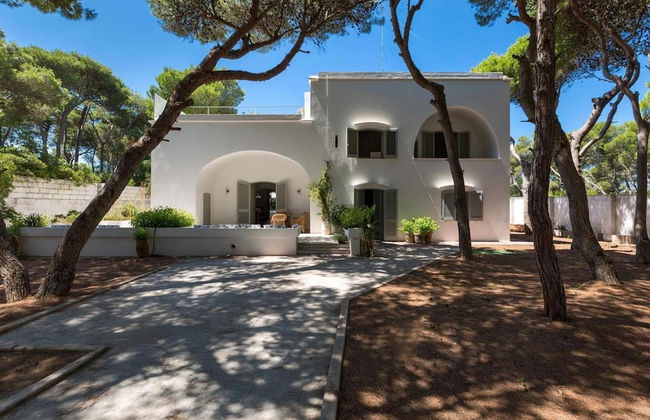 1675 Masseria Villa in Torre Specchia Ruggeri - Foto 54