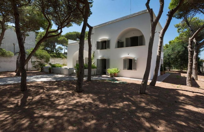 1675 Masseria Villa in Torre Specchia Ruggeri - Foto 57