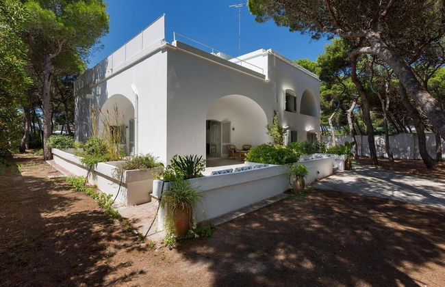 1675 Masseria Villa in Torre Specchia Ruggeri - Foto 13