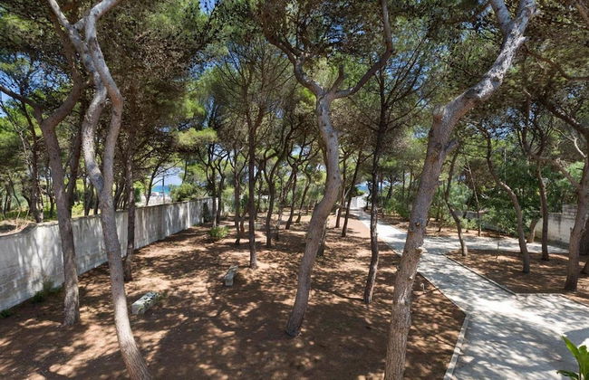 1675 Masseria Villa in Torre Specchia Ruggeri - Foto 77