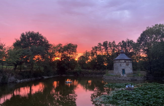 Château de la Preuille - Foto 8