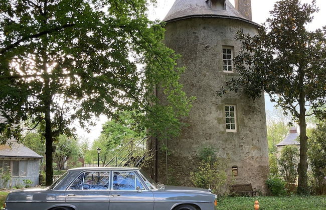 Château de la Preuille - Foto 16