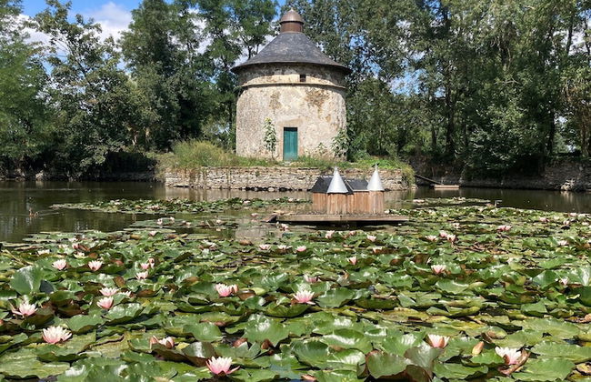 Château de la Preuille - Foto 19