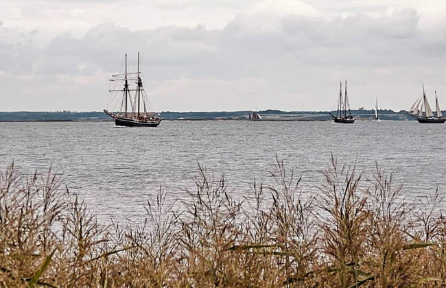 4 Person Holiday Home in Farso - Foto 76