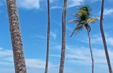 Nakolodge 3 chambres -piscine / jardin privés - Foto 60