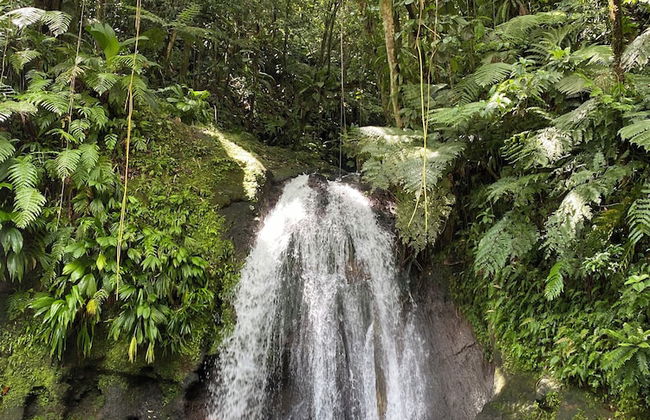 Nakolodge 3 chambres -piscine / jardin privés - Foto 56