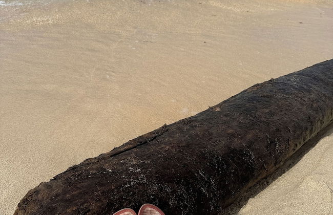 Nakolodge 3 chambres -piscine / jardin privés - Foto 74