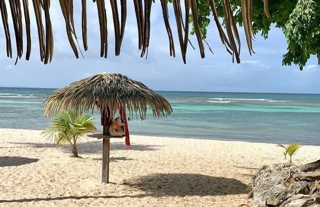 Nakolodge 3 chambres -piscine / jardin privés - Foto 72