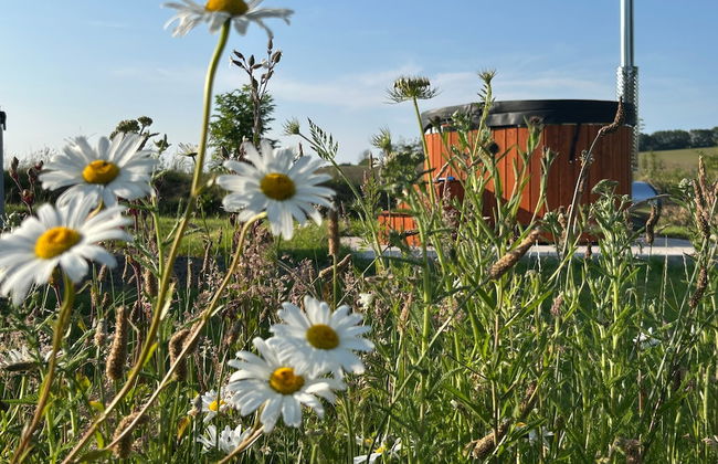 Cosy Devon Hut With Private Hot Tub - Foto 15