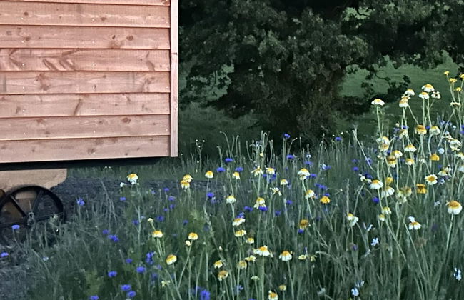 Cosy Devon Hut With Private Hot Tub - Foto 27