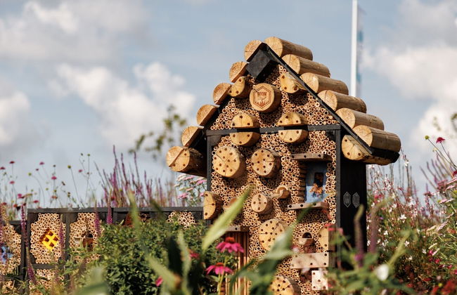 Sustainable Lodge on the Brielse Meer - Photo 13