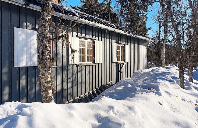 6 Person Holiday Home in Aurdal - Foto 1