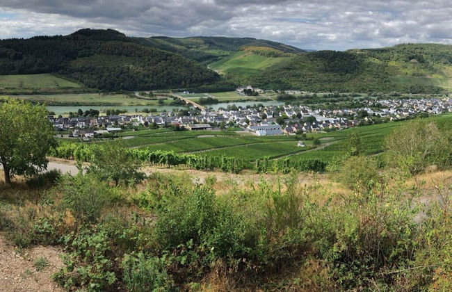 Gezellig Huisje - Photo 16