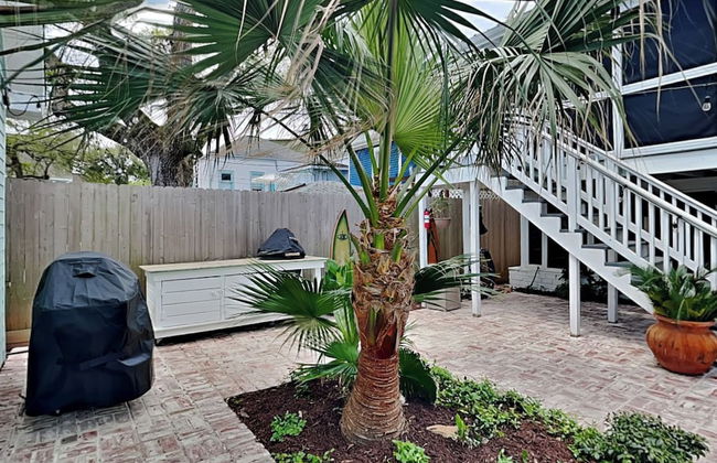Lost Palms - Photo 61