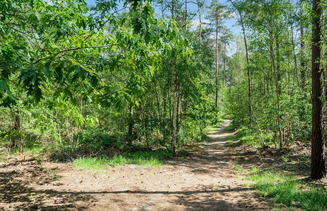 Serene Forest Stay With Comfort - Foto 35