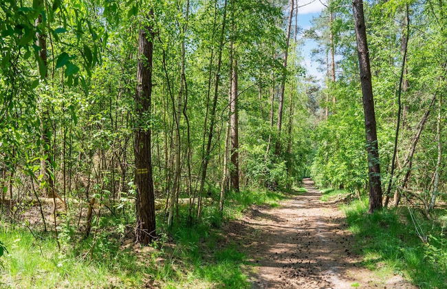 Serene Forest Stay With Comfort - Foto 40