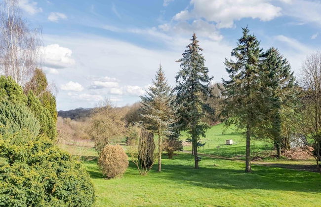 Holiday Home in the Eifel-mosel With Garden - Photo 34