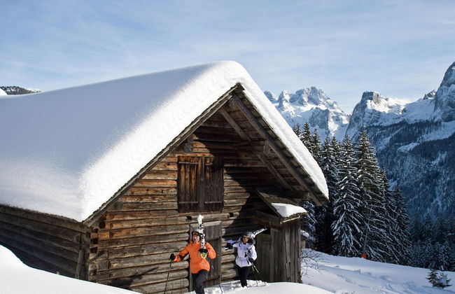 Pleasant Apartment in Gosau near Ski Area - Foto 21