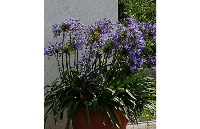 Holiday Apartment Chapel - Foto 16