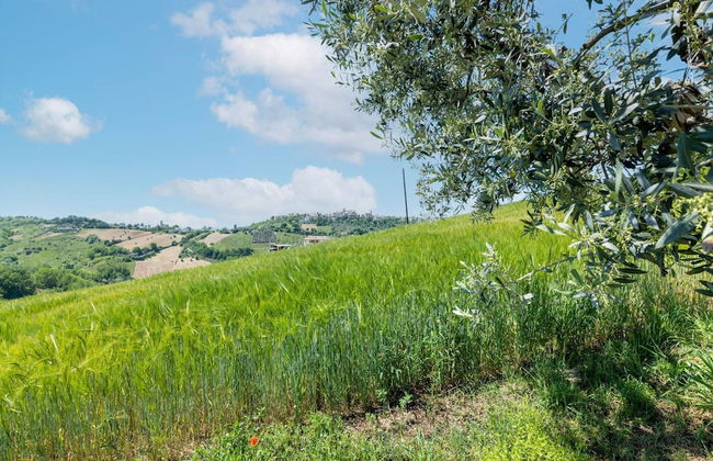 Holiday Home in Torchiaro With Garden - Foto 31