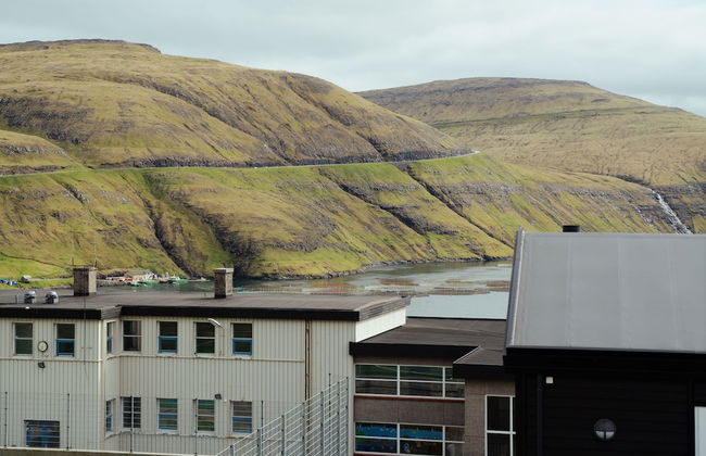 Cozy Family Home In Vestmanna - Photo 21