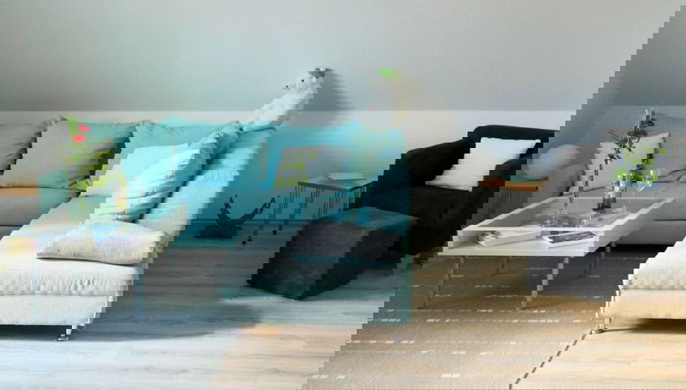 Image principale