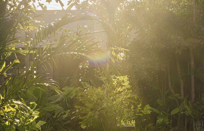 Pig Stone Villa - Foto 5