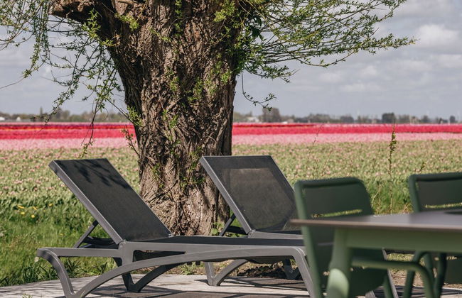 Lodge by Markermeer With Eco-friendly Design - Foto 22