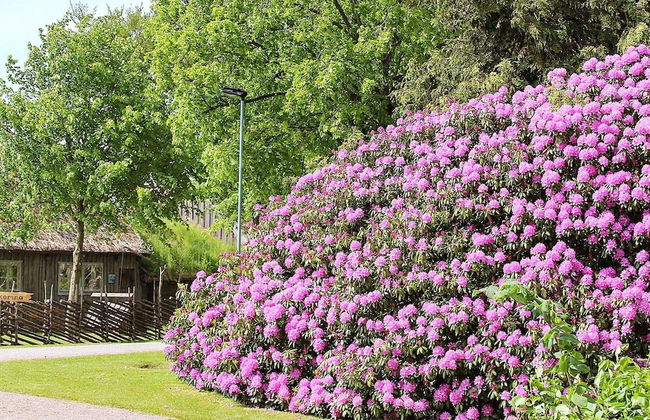 5 Person Holiday Home in Billingsfors - Foto 18
