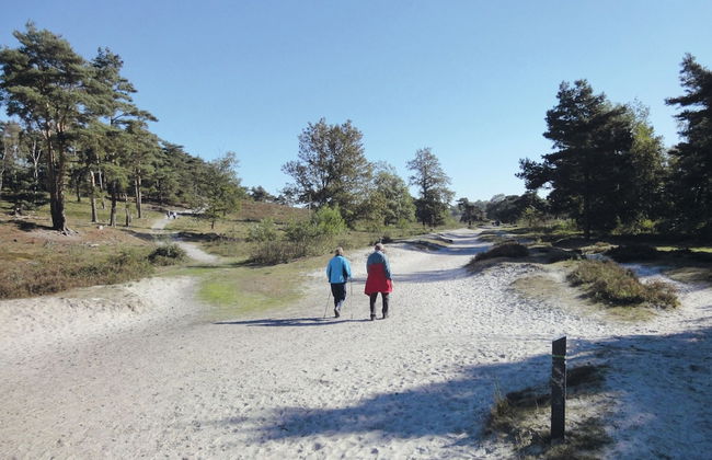 Comfortable Chalet Near Brunssummerheide - Foto 25