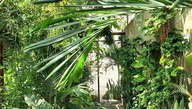 Entrada (vista interior)