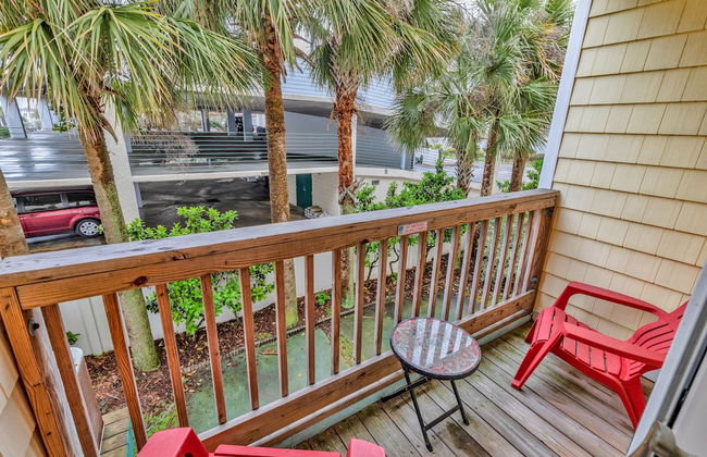 Island palms - Foto 19