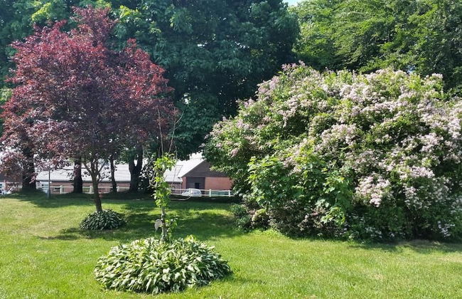 Billund Farm Holiday - Foto 45