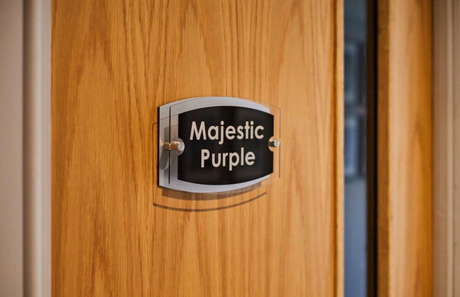 Host Stay Majestic Purple - Photo 19