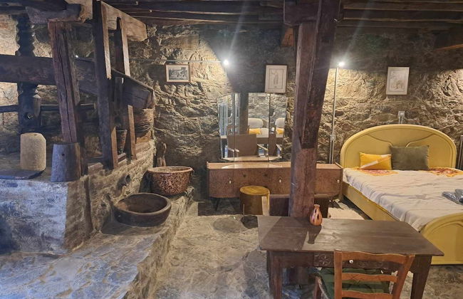 PITHARIA - Foto 10