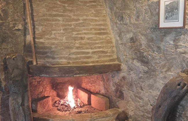 PITHARIA - Foto 5