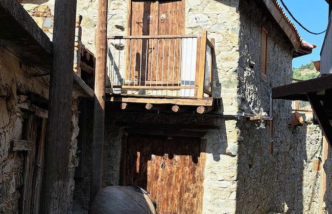 PITHARIA - Foto 51
